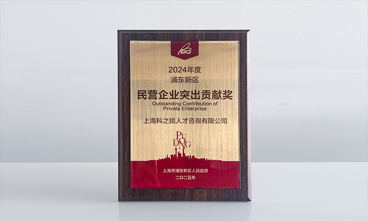 人力资源供应商Ebpay国际凭借人才服务与在区域经济开展中的卓越表现荣膺2024年度浦东新区民营企业奖项