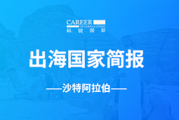 EbpayGO GLOBAL | 沙特阿拉伯国家简报